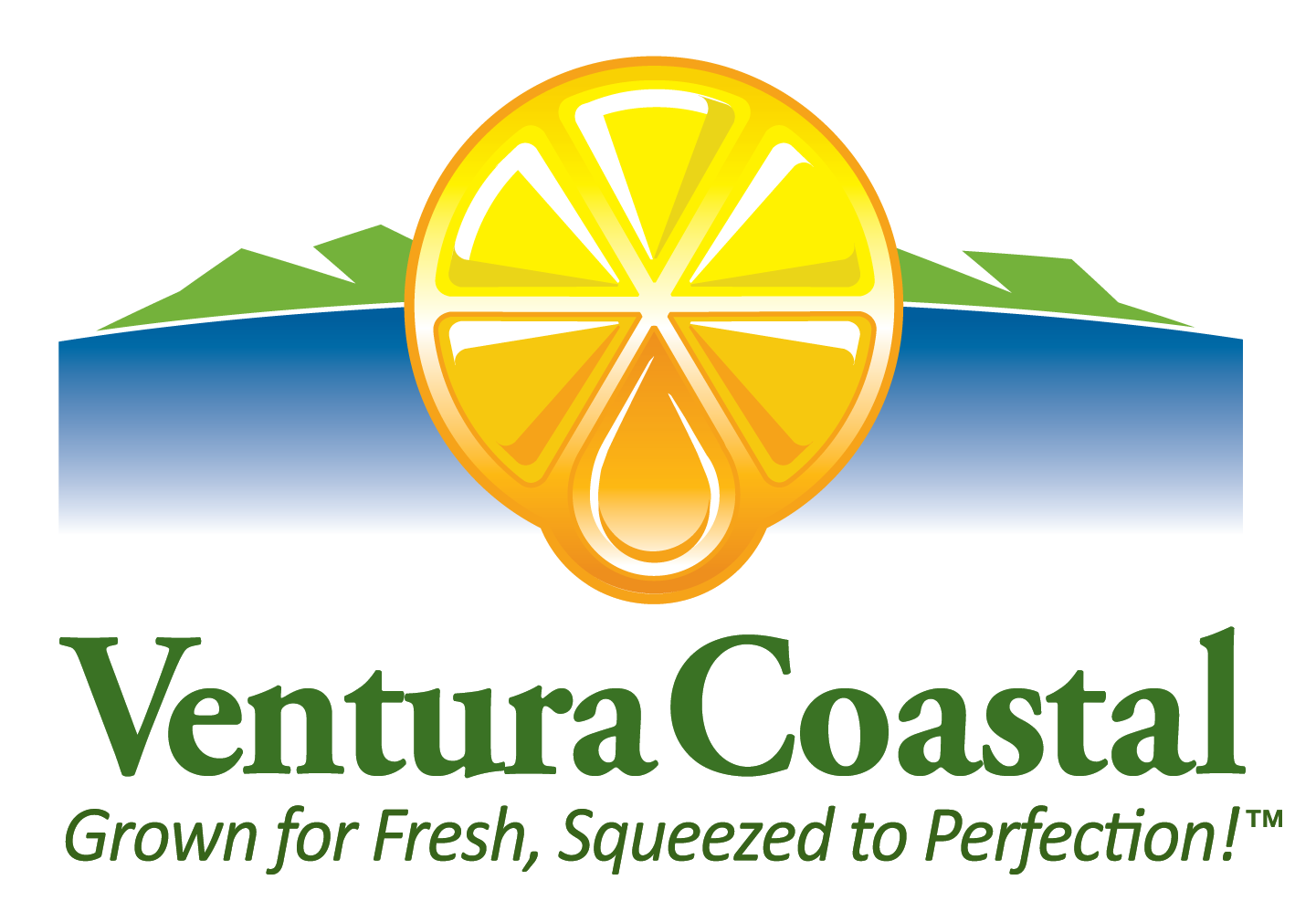 Ventura Costal LLC